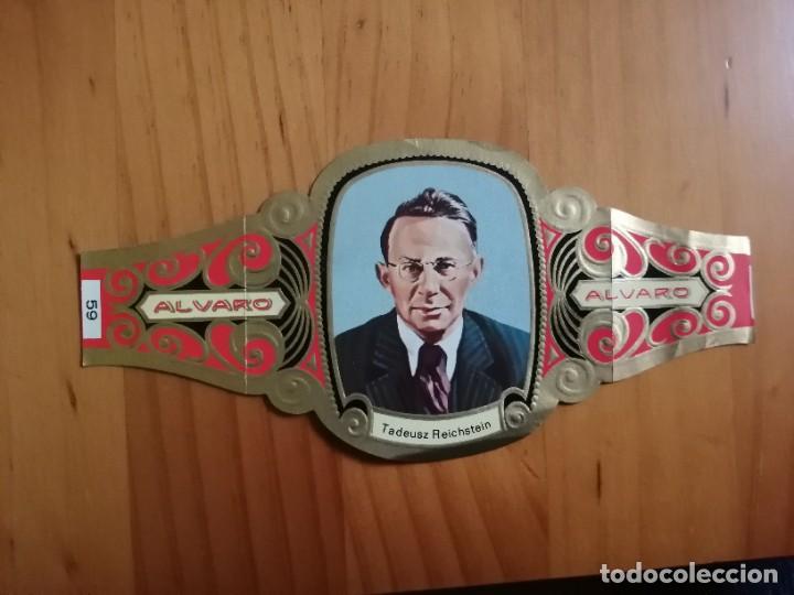 Vitolas de colecci&oacute;n: VITOLA ALVARO - SERIE: PREMIOS NOBEL: TADEUSZ REICHSTEIN.