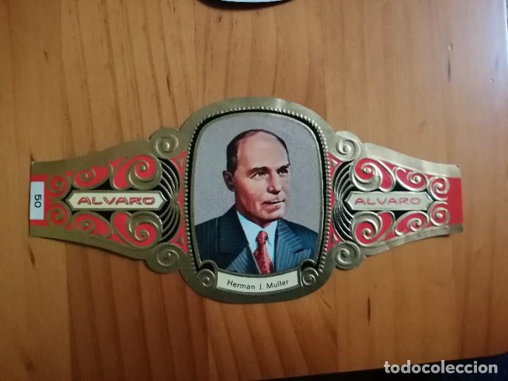 Vitolas de colecci&oacute;n: VITOLA ALVARO - SERIE: PREMIOS NOBEL: HERMAN J. MULLER