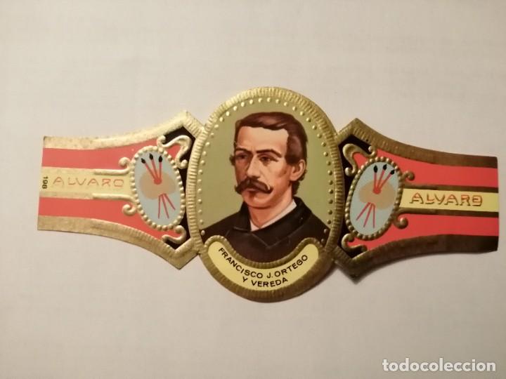 Vitolas de colecci&oacute;n: VITOLA: ALVARO - SERIE: PINTORES, FRANCISCO J. ORTEGO Y VEREDA.