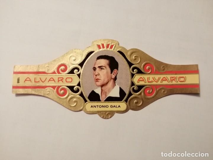 Vitolas de colecci&oacute;n: VITOLA: ALVARO - SERIE: LITERATOS, ANTONIO GALA.