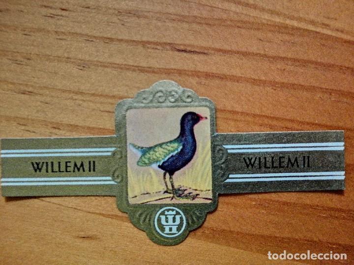 Vitolas de colecci&oacute;n: VITOLA: WILLEM II - SERIE XI - 2713