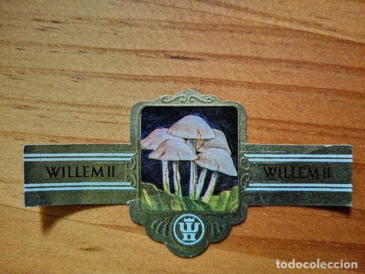 Vitolas de colecci&oacute;n: VITOLA: WILLEM II - SERIE XIV - 2840