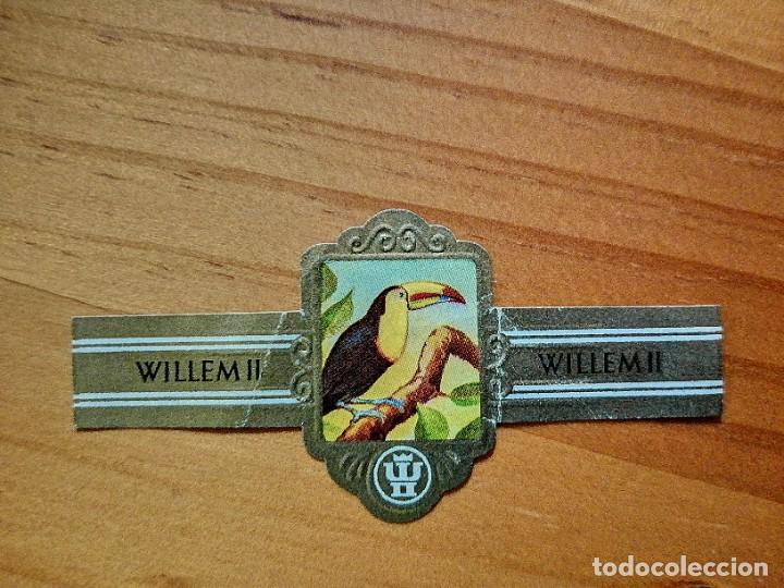 Vitolas de colecci&oacute;n: VITOLA: WILLEM II - SERIE XII - 2724