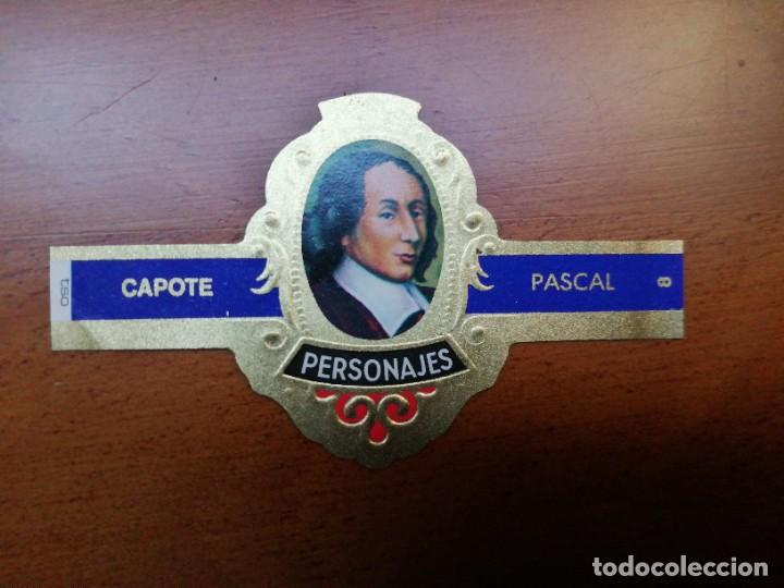 Vitolas de colecci&oacute;n: VITOLA CAPOTE - COLECCI&Oacute;N: PERSONAJES - PASCAL - SERIE H - N&Uacute;MERO 8