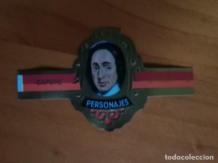 Vitolas de colecci&oacute;n: VITOLA CAPOTE - COLECCI&Oacute;N: PERSONAJES, FILOSOFOS - SPINOZA - SERIE I - N&Uacute;MERO 24