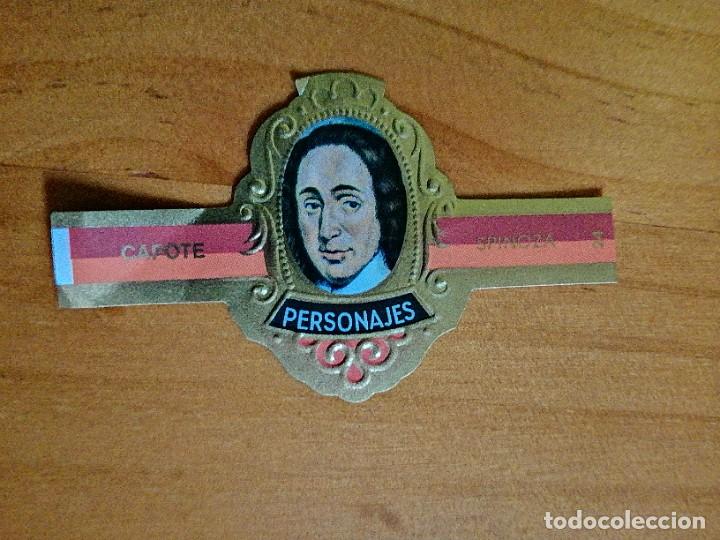 Vitolas de colecci&oacute;n: VITOLA CAPOTE - COLECCI&Oacute;N: PERSONAJES - SPINOZA - SERIE FIL&Oacute;SOFOS - N&Uacute;MERO 24