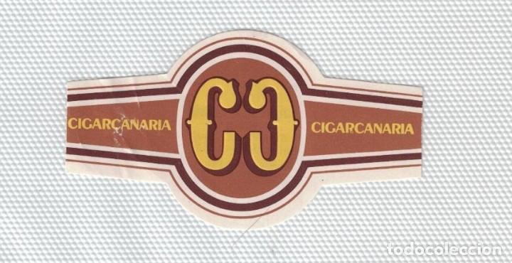 Bagues de cigare de collection: (XV-020) - Vitolas - Cigarcanaria - CONSTITUCION CIGARCANARIA 16 Marzo 1981