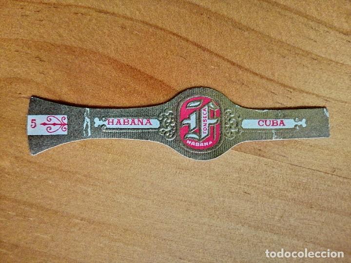 Vitolas de colecci&oacute;n: VITOLA - FONSECA - HABANA - CUBA.