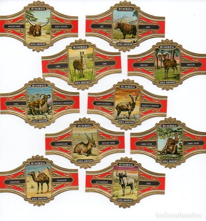 Vitolas de colecci&oacute;n: Vitolas. Serie completa marca Vieil Anvers - Mam&iacute;feros, serie 3, 10 vitolinas.