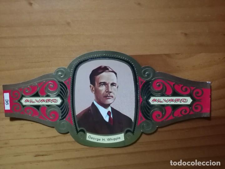 Vitolas de colecci&oacute;n: VITOLA - ALVARO - SERIE: PREMIOS NOBEL - GEORGE H. WHIPPLE