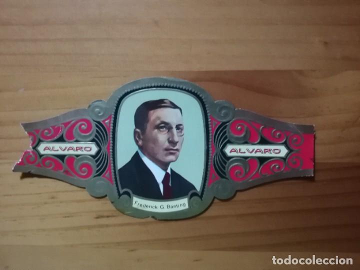 Vitolas de colecci&oacute;n: VITOLA - ALVARO - SERIE: PREMIOS NOBEL - FREDERICK G. BANTING