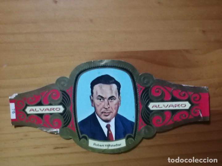 Vitolas de colecci&oacute;n: VITOLA - ALVARO - SERIE: PREMIOS NOBEL - ROBERT HOFSTADTER.