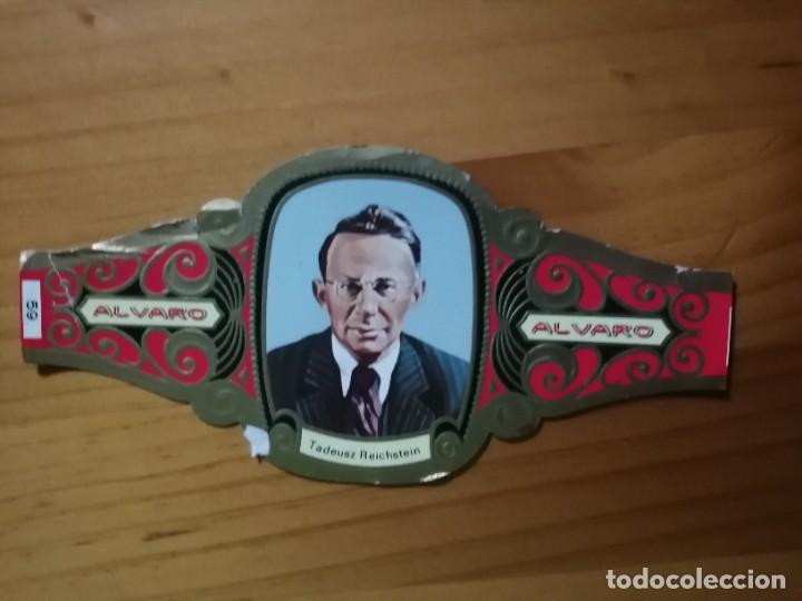 Vitolas de colecci&oacute;n: VITOLA - ALVARO - SERIE: PREMIOS NOBEL - TADEUSZ REICHSTEIN.