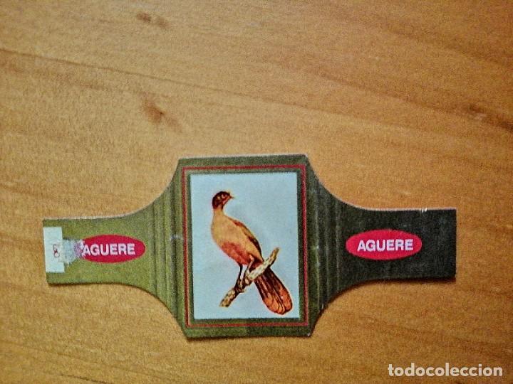 Vitolas de colecci&oacute;n: VITOLA - AGUERE - SERIE: P&Aacute;JAROS, N&Uacute;MERO 78 - CHACHALACA DE M&Eacute;JICO.