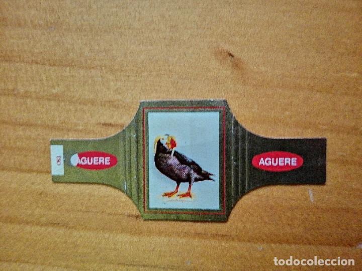 Vitolas de colecci&oacute;n: VITOLA - AGUERE - SERIE: P&Aacute;JAROS, N&Uacute;MERO 82 - LUNDA CIRRHATA.