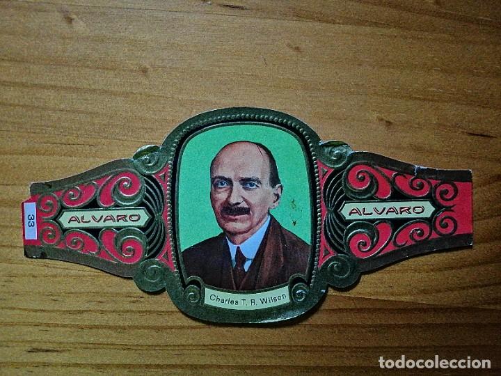 Vitolas de colecci&oacute;n: VITOLA - ALVARO - SERIE: PREMIOS NOBEL - CHARLES T. R. WILSON