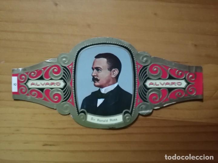 Vitolas de colecci&oacute;n: VITOLA - ALVARO - SERIE: PREMIOS NOBEL - SIR RONALD ROSS.