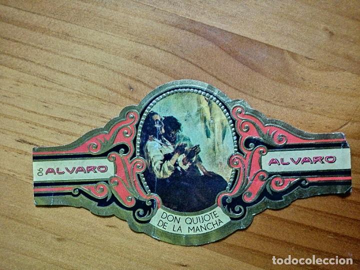 Vitolas de colecci&oacute;n: VITOLA - ALVARO - SERIE: DON QUIJOTE DE LA MARCHA.
