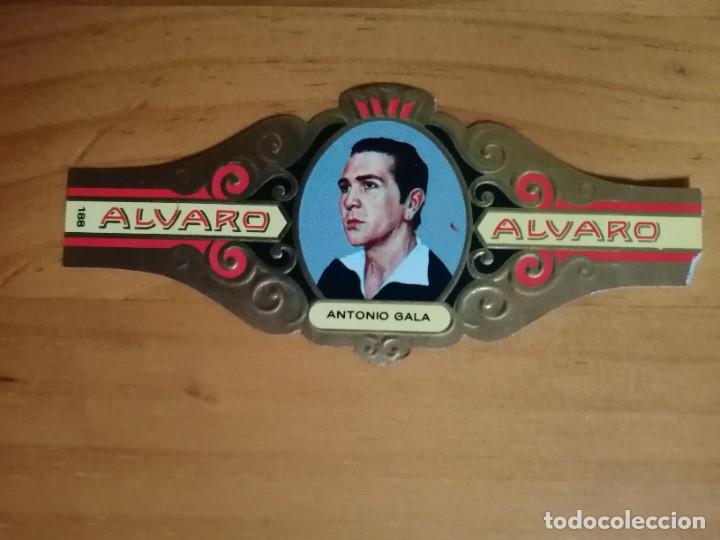 Vitolas de colecci&oacute;n: VITOLA - ALVARO - SERIE: LITERATOS - ANTONIO GALA.