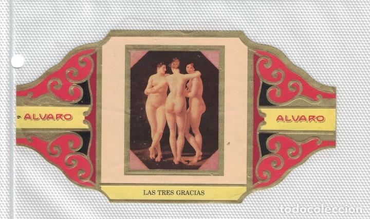 Bagues de cigare de collection: (XV-020) - Vitolas - Alvaro - El desnudo en el arte Serie III N&ordm; 9 - LAS TRES GRACIAS