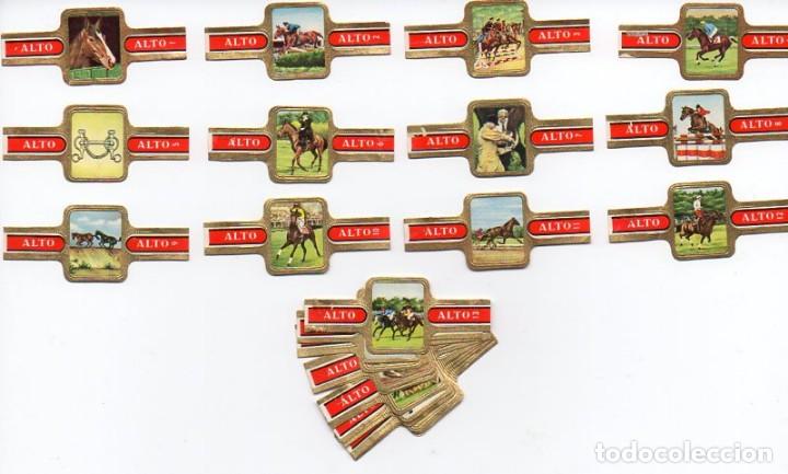 Vitolas de colecci&oacute;n: Vijosefa. Serie completa Alto, Equitaci&oacute;n, 24 vitolas.