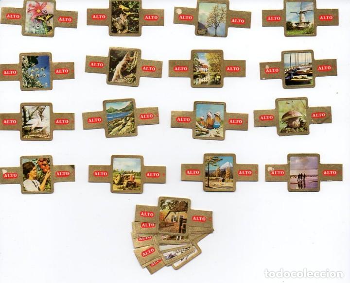 Vitolas de colecci&oacute;n: Vijosefa. Serie completa Alto, Estaciones del A&ntilde;o, f.p. 24 vitolas.