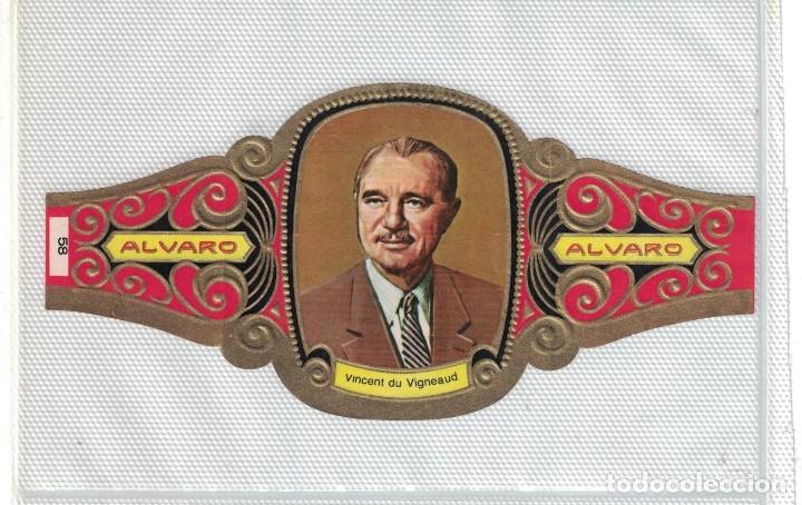 Bagues de cigare de collection: (XV-020) - Vitolas - Alvaro - Premios Nobel - Quimica n&ordm; 58 - VINCENT DU VIGNEAUD