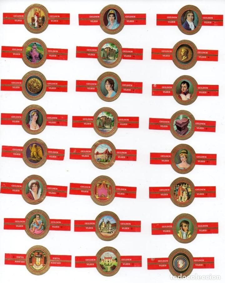 Vitolas de colecci&oacute;n: Vijosefa. Serie completa marca Gulden Vlies - Napole&oacute;n. 24 vitolas.
