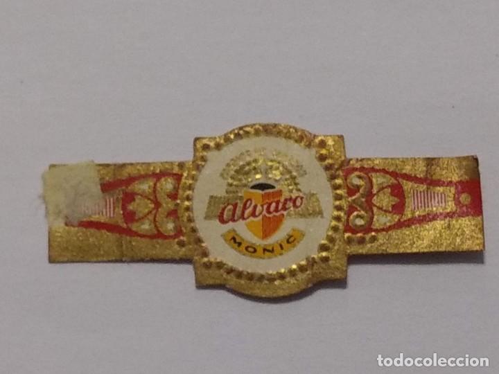 An&eacute;is de charuto de cole&ccedil;&atilde;o: ANTIGUA VITOLA MONIC ALVARO- VITOLAS - PUROS - CIGARRO