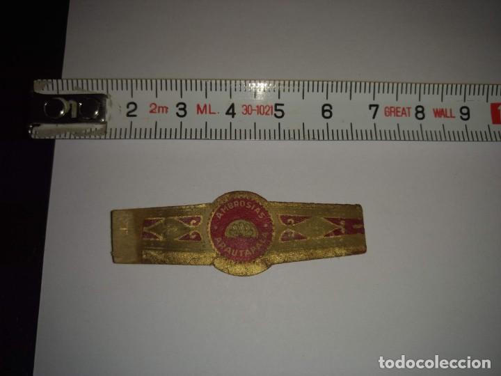 An&eacute;is de charuto de cole&ccedil;&atilde;o: ANTIGUA VITOLA AMBROSIAS ARAUTAPALA- VITOLAS - PUROS - CIGARRO