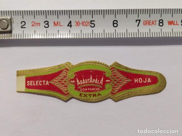 An&eacute;is de charuto de cole&ccedil;&atilde;o: ANTIGUA VITOLA SELECTA HOJA DON PANCHO ARAUTAPALA- VITOLAS - PUROS - CIGARRO