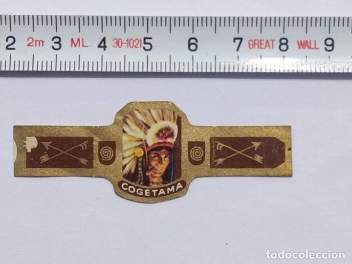 An&eacute;is de charuto de cole&ccedil;&atilde;o: ANTIGUA VITOLA COGETAMA INDIO- VITOLAS - PUROS - CIGARRO