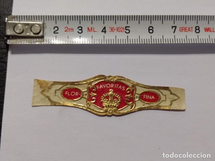 Collection cigar bands: ANTIGUA VITOLA FLOR FINA FAVORITAS- VITOLAS - PUROS - CIGARRO