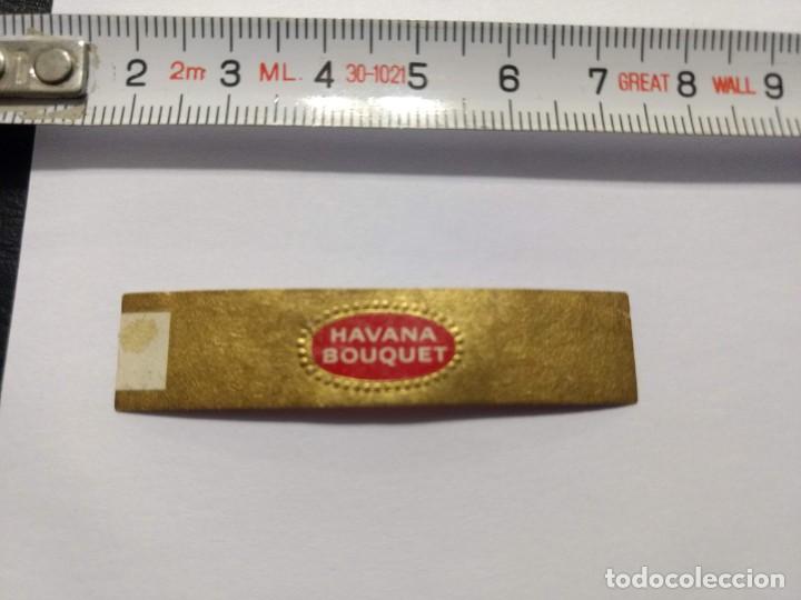 Collection cigar bands: ANTIGUA VITOLA HAVANA BOUQUET- VITOLAS - PUROS