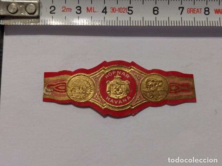 Collection cigar bands: ANTIGUA VITOLA HAVANA HOFNAR- VITOLAS - PUROS