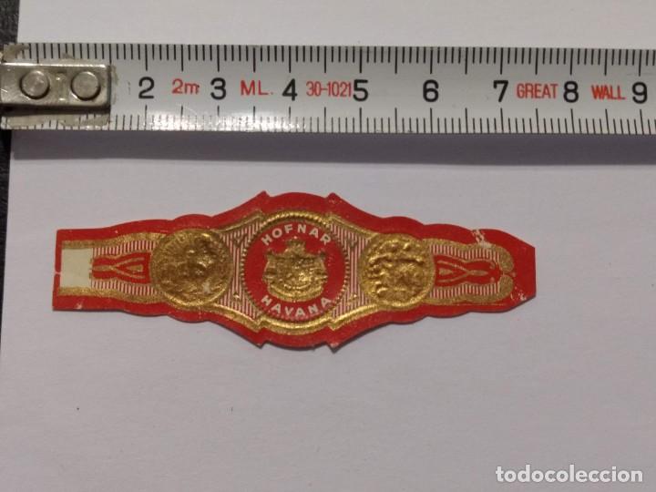 Collection cigar bands: ANTIGUA VITOLA HAVANA HOFNAR- VITOLAS - PUROS