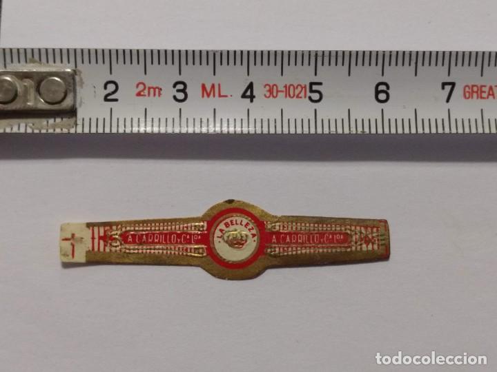 Collection cigar bands: ANTIGUA VITOLA LA BELLEZA A. CARRILLO - VITOLAS - PUROS