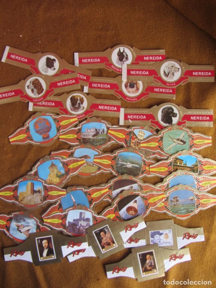 Vitolas de colecci&oacute;n: LOTE 27 VITOLAS VARIAS - Foto 1