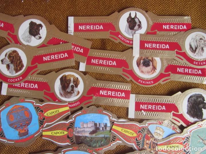 Vitolas de colecci&oacute;n: LOTE 27 VITOLAS VARIAS - Foto 2