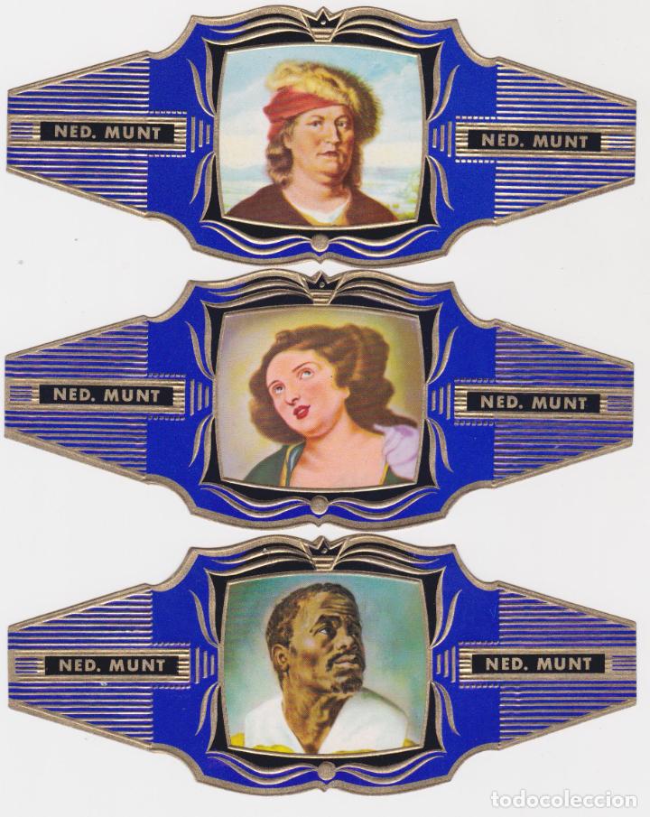 Bagues de cigare de collection: NED. MUNT &ndash; 3 VITOLINAS COLOR AZUL (N&ordm; 23, 36 y 38)