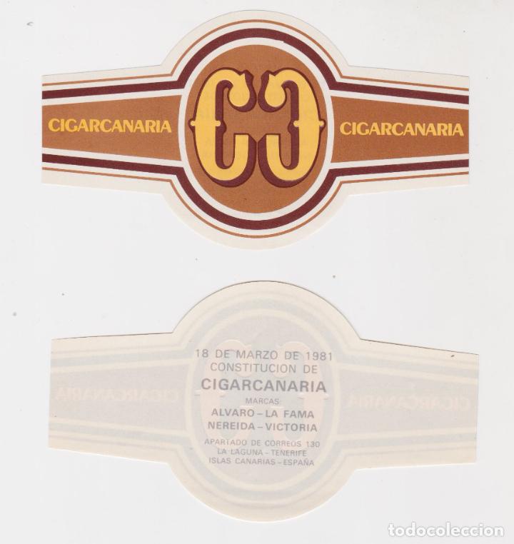 Bagues de cigare de collection: CIGARCANARIA &ndash; VITOLA CONMEMORATIVA CONSTITUCI&Oacute;N &ndash; LA LAGUNA