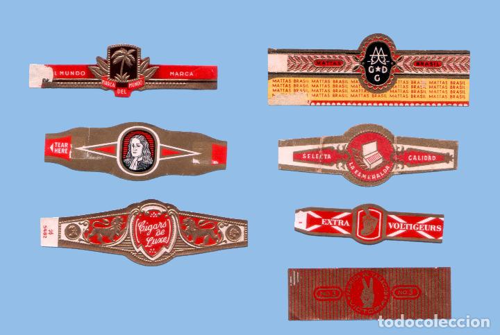 Sammlung von Banderolen: 7 VITOLAS ANTIGUAS - MARCAS EUROPEAS - TEM&Aacute;TICA VARIA