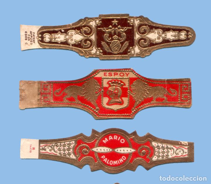 Sammlung von Banderolen: 3 VITOLAS ANTIGUAS - DISTINTAS MARCAS - TEM&Aacute;TICA VARIA