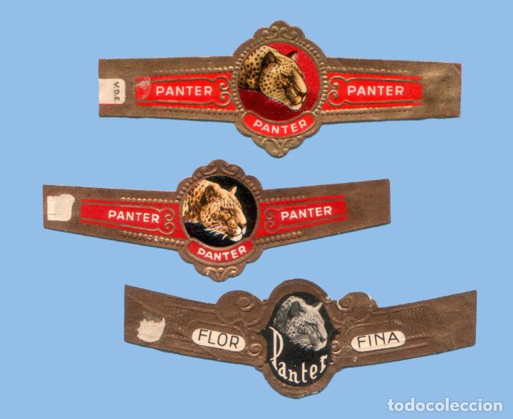 Sammlung von Banderolen: 3 VITOLAS ANTIGUAS - MARCA PANTER - PROCEDENCIA HOLANDA - TEM&Aacute;TICA FAUNA (PANTERA)