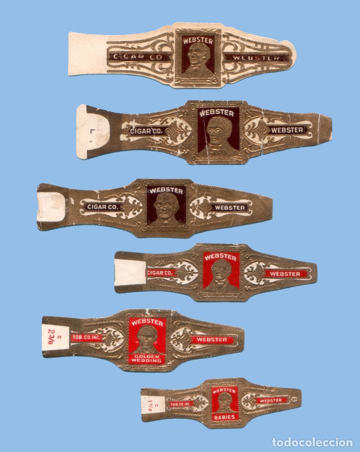 Sammlung von Banderolen: 6 VITOLAS ANTIGUAS - MARCA WEBSTER (USA) - TEM&Aacute;TICA RETRATOS MASCULINOS