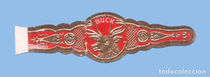 Bagues de cigare de collection: VITOLA ANTIGUA - MARCA BUCK PROCEDENCIA USA - TEMATICA FAUNA - CIERVO