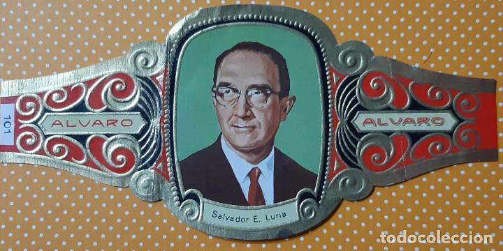 Collection cigar bands: VITOLA CIGARROS ALVARO, SALVADOR E. LURIA,1972, N&Uacute;MERO 101.