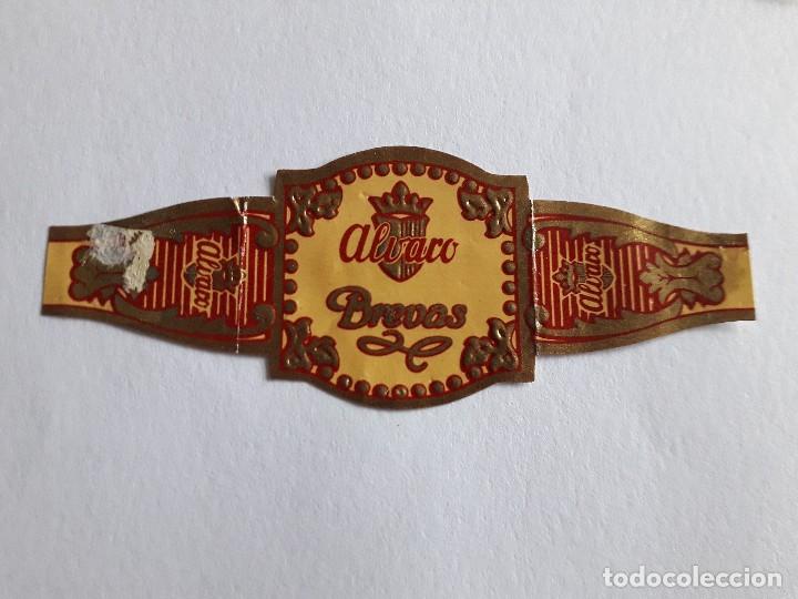 Collection cigar bands: vitola de puro, Alvaro, brevas.