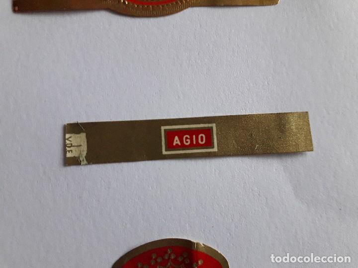 Collection cigar bands: vitola de puro, Agio