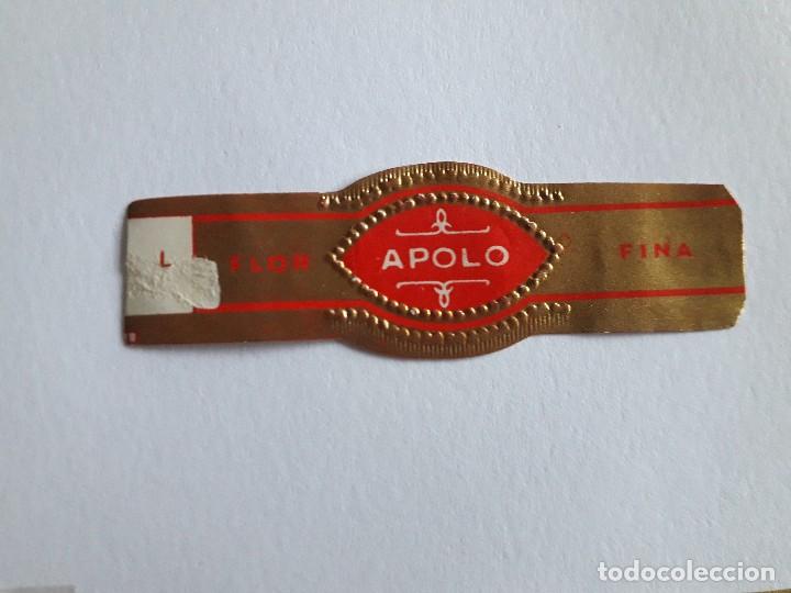 Collection cigar bands: vitola de puro, Apolo, flor fina